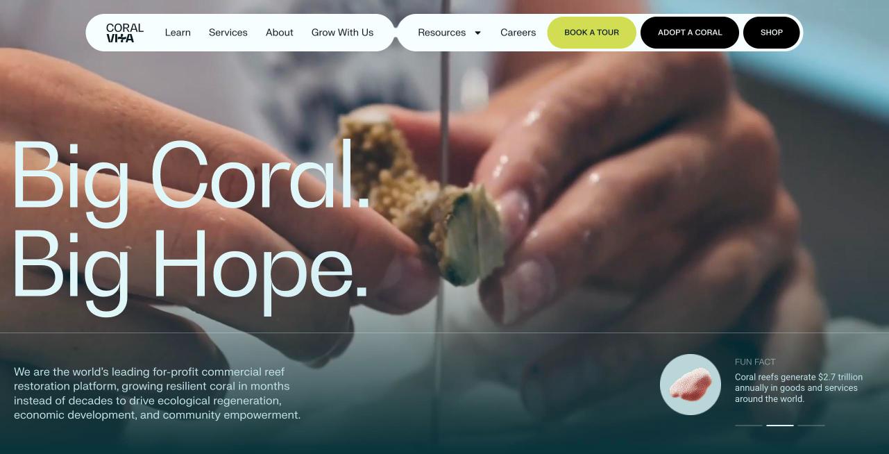 Coral Vita website homepage: Big Coral. Big Hope.