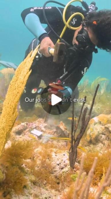Coral Vita Instagram reel, 408K views